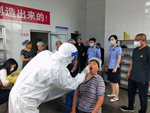 龙口市两线并进 全员核酸检测无缝覆盖，预包装食品安全同步严查
